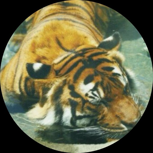machiavellistan